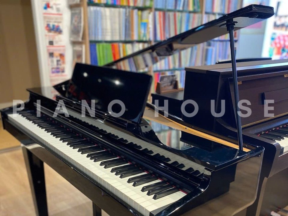 ROLAND GP-6 PE (Used) - Đánh giá chi tiết tại Piano House